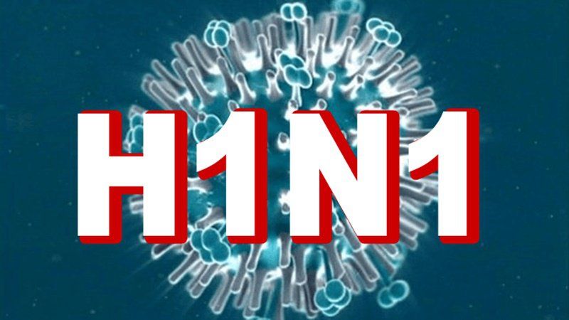 Cúm A H1N1