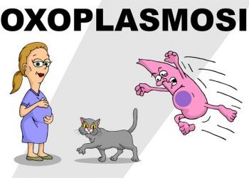 Bệnh Toxoplasmosis là bệnh gì? Làm sao để phát hiện ra bệnh?