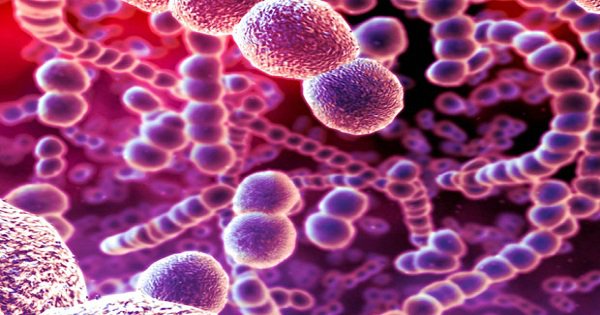 Làm thế nào để ngăn ngừa nhiễm trùng Streptococcus A?