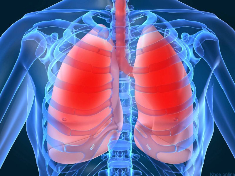 Nguyên nhân gây bệnh viêm phổi do vi khuẩn đường ruột như thế nào?