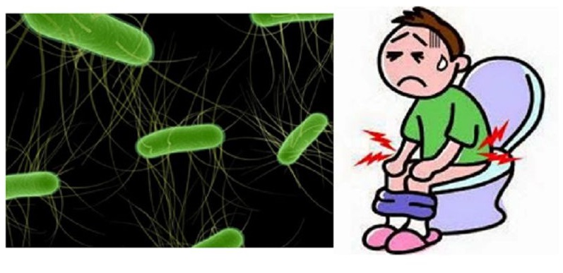 Nhiễm Escherichia coli enterohemorrhagic có thể gây ra những bệnh gì?