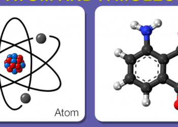 Sự khác biệt giữa một nguyên tử và một phân tử xem qua 5 phút hiểu luôn