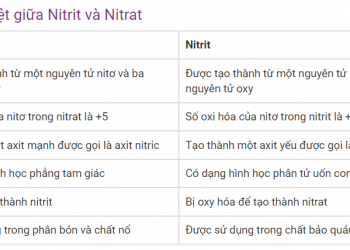 Sự khác biệt giữa Nitrit và Nitrat xem qua 5 phút hiểu luôn