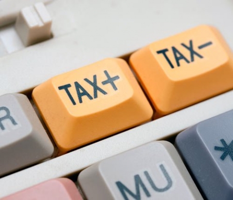 Ngành về kế toán thuế