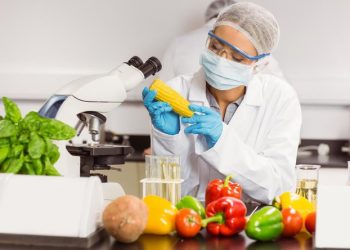 Review về Ngành dinh dưỡng và khoa học của thực phẩm