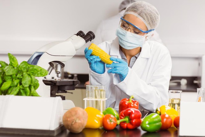 Ngành dinh dưỡng và khoa học của thực phẩm